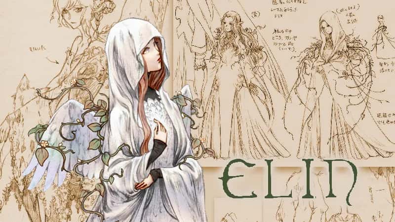 艾琳 Elin插画